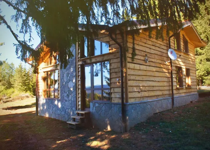 Mischa Villa Grashtitsa